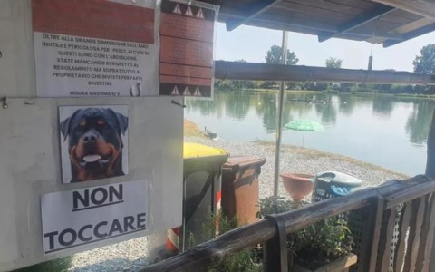 Aggredita da un rottweiler, 45enne ferita al volto e al collo: 140 punti di sutura