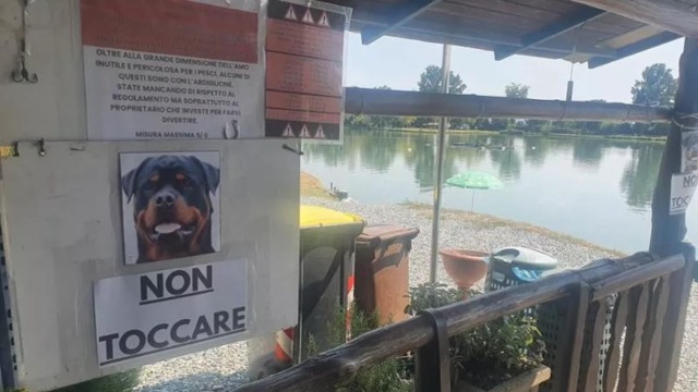 Aggredita da un rottweiler, 45enne ferita al volto e al collo: 140 punti di sutura