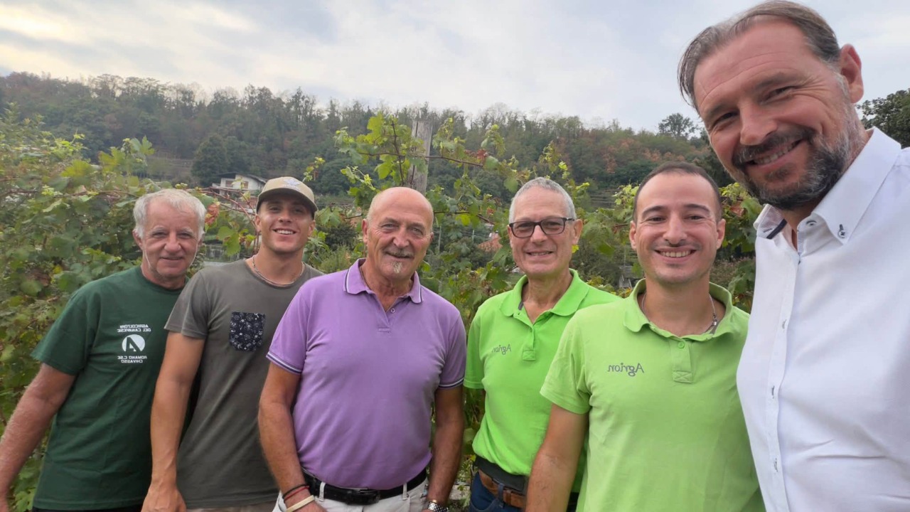 Vigneto didattico a Villa Pasta, la prima vendemmia