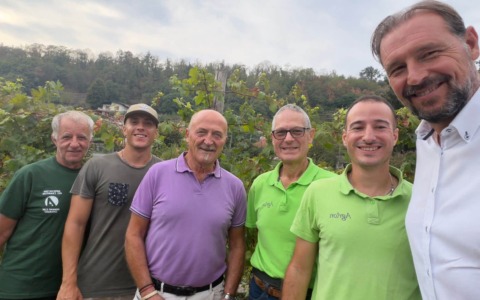 Vigneto didattico a Villa Pasta, la prima vendemmia