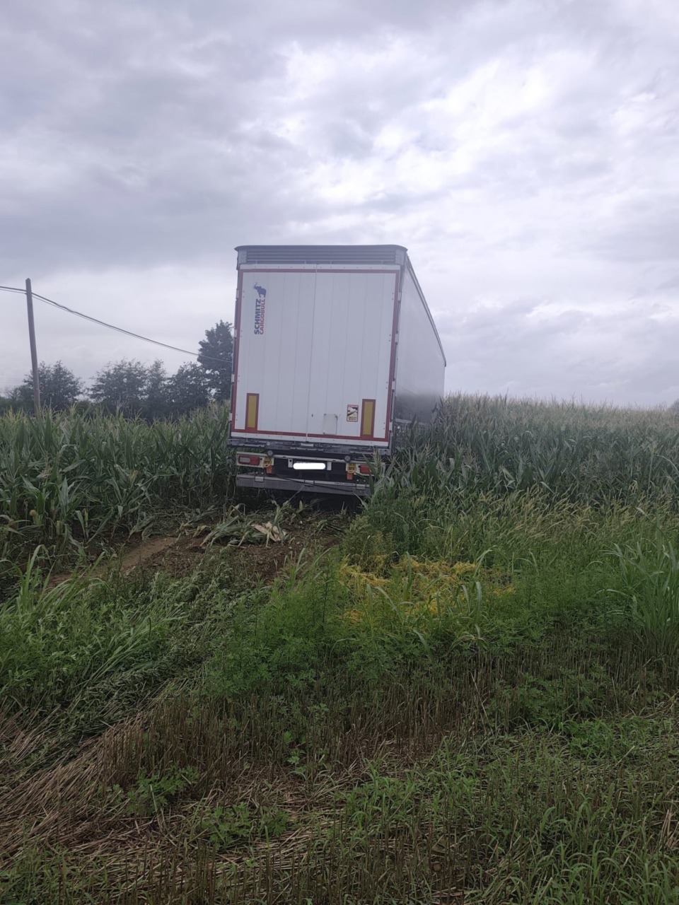 Caos a San Benigno: camion urta auto e cartelli e finisce la folle corsa in un prato