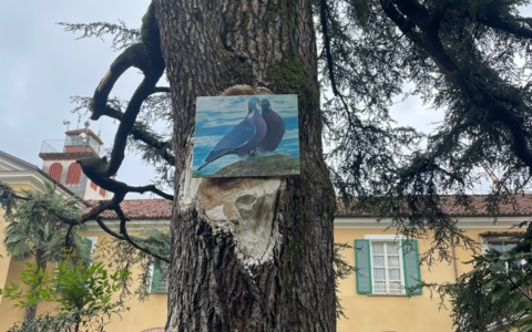 Il cedro ultrasecolare del Residence del Frate non si abbatte, si cura: la lezione green della RSA di Bairo